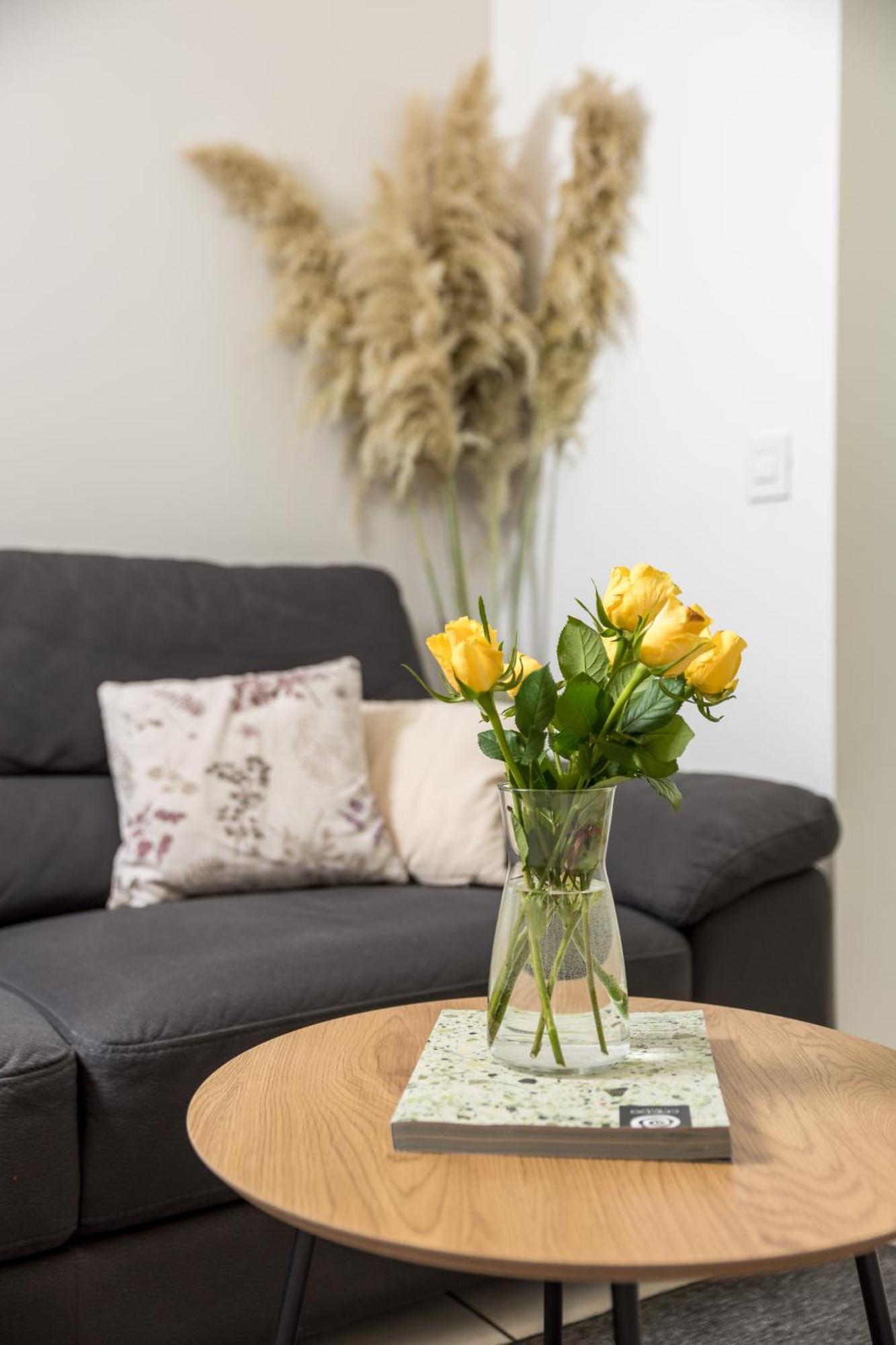 Apartment City Flower Rijeka Buitenkant foto